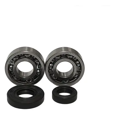 Ložiska klikové hřídele BEARING WORX CBK60006 (BEARING WORX ložiska klikové hřídele KTM SX 50 02