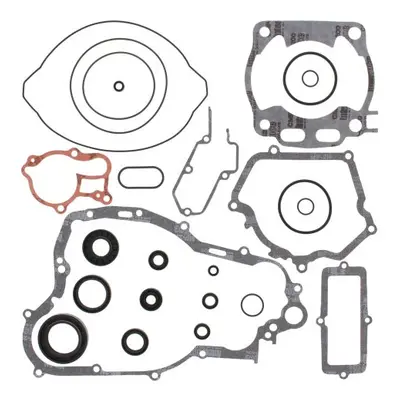 WINDEROSA (VERTEX) kompletní sada těsnění včetně těsnění motoru YAMAHA YZ250 99-00 (811668) (WIN