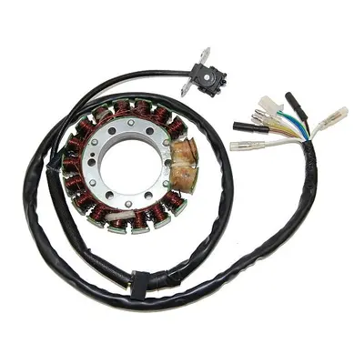 ELECTROSPORT vinutí alternátoru (stator) HONDA XR 400R (96-03), XR 650R (00-07) HI POWER (ESG443