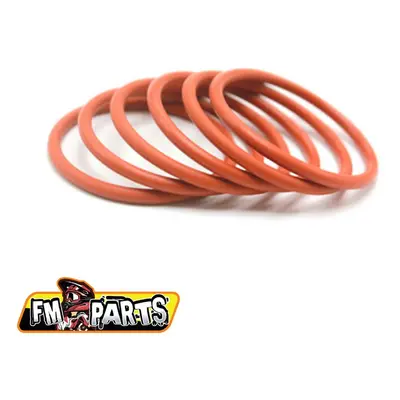 FM-PARTS O-kroužky difuzoru (2 kusy) KTM, HUSQVARNA, BETA RR, BETA XTRAINER / 2T všechny modely 