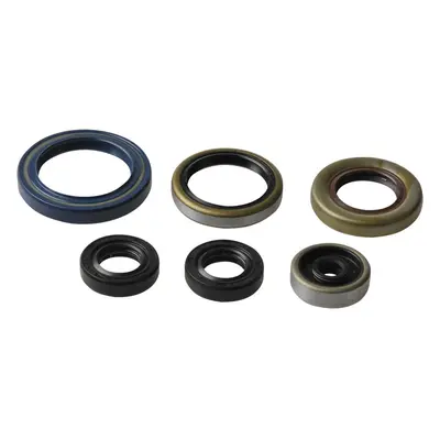 ATHENA sada gufer motoru KTM SX 85 03-17, KTM SX 105 04/11, HUSQVARNA TC 85 14-17 (ATHENA sada g