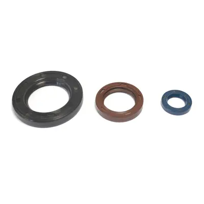 ATHENA sada gufer motoru KTM GS 250 80-81 (ATHENA sada gufer motoru KTM GS 250 80-81)