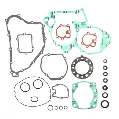 Kompletní sada těsnění včetně kompletního těsnění motoru PROX 34.1325 (PROX kompletní sada těsně