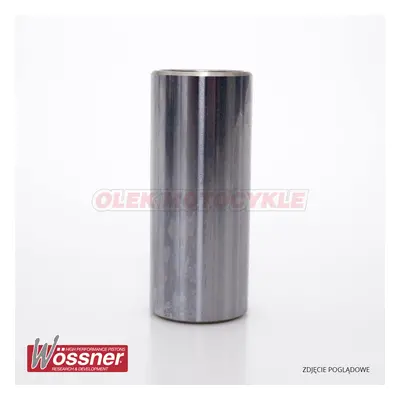 WOSSNER čep ( 14X9X45) (WOSSNER čep ( 14X9X45))