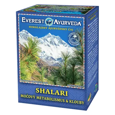 Everest Ayurveda SHALARI Dna a kloubní otoky 100 g