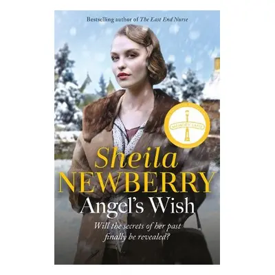 Angel's Wish - Newberry, Sheila