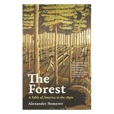 Forest - Nemerov, Alexander