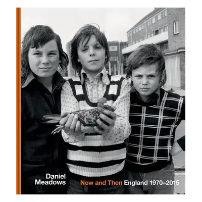 Now and Then - Meadows, Daniel