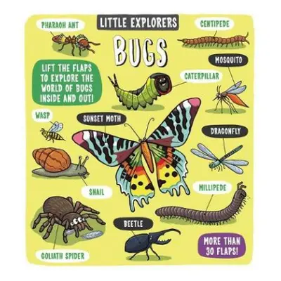 Little Explorers: Bugs - Ltd., Dynamo