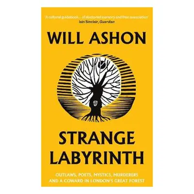 Strange Labyrinth - Ashon, Will