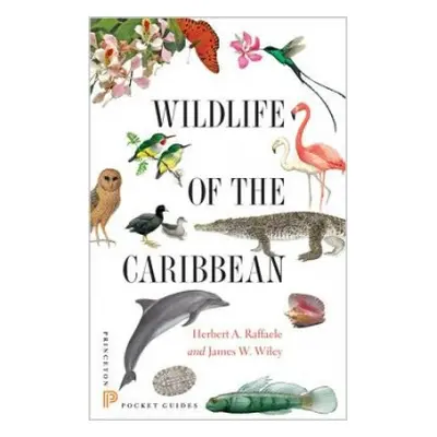 Wildlife of the Caribbean - Raffaele, Herbert A. a Wiley, James