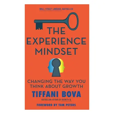 Experience Mindset - Bova, Tiffani