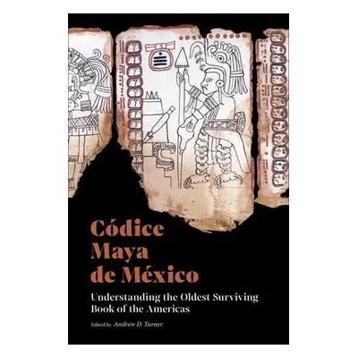 Codice Maya de Mexico