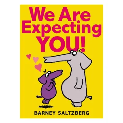 We Are Expecting You - Saltzberg, Barney