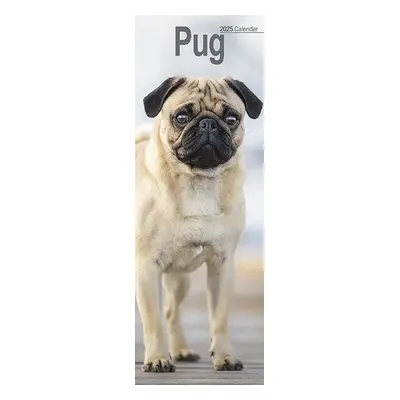 Pug Slim Calendar 2025 Dog Breed Slimline Calendar - 12 Month