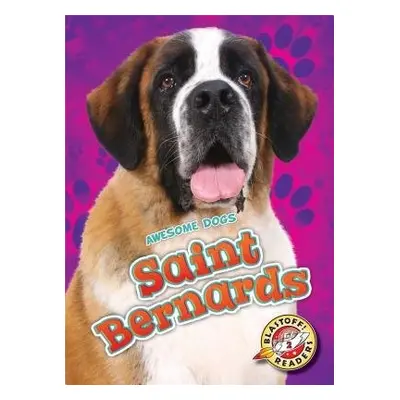 Saint Bernards - Sommer, Nathan