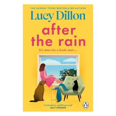 After the Rain - Dillon, Lucy