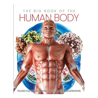 Big Book of the Human body - Marsh, Katherine