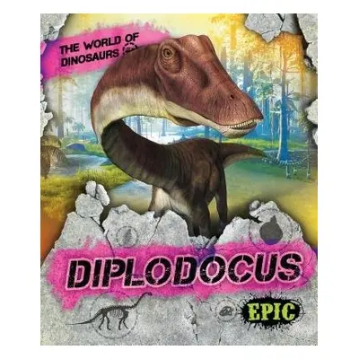 Diplodocus - Sabelko, Rebecca