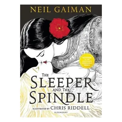 Sleeper and the Spindle - Gaiman, Neil