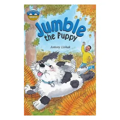 Storyworlds Bridges Stage 12 Jumble the Puppy (single) - Lishak, Antony