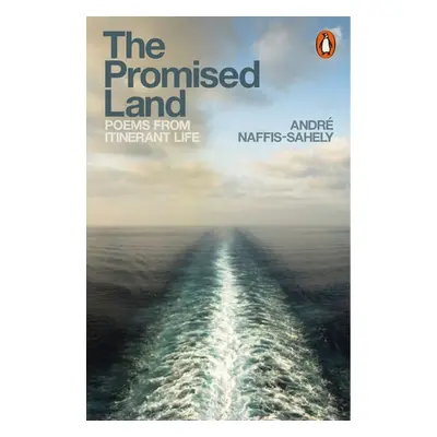 Promised Land - Naffis-Sahely, Andre