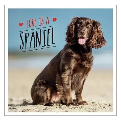 Love is a Spaniel - Ellis, Charlie