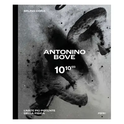 Antonino Bove 1010123