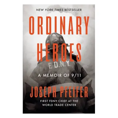 Ordinary Heroes - Pfeifer, Joseph