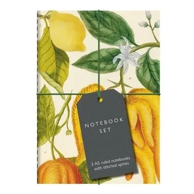 Botanical Art Notebook Set - Bodleian Library