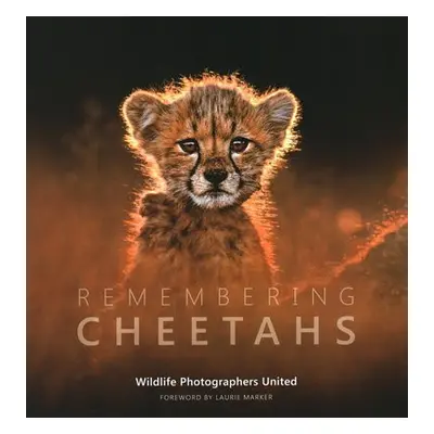 Remembering Cheetahs