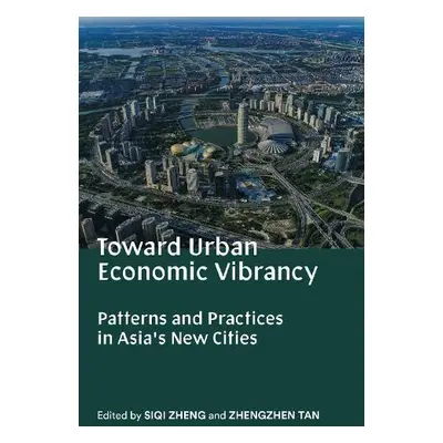 Toward Urban Economic Vibrancy