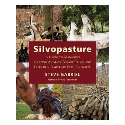 Silvopasture - Gabriel, Steve