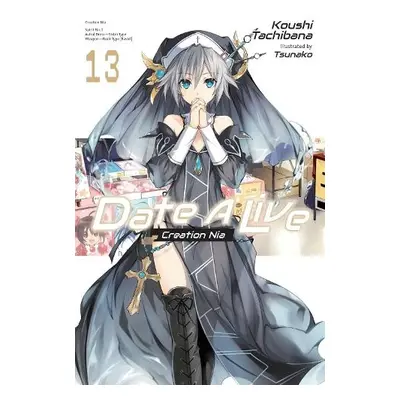 Date A Live, Vol. 13 (light novel)