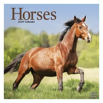 Horses Calendar 2025 Square Horses Wall Calendar - 16 Month