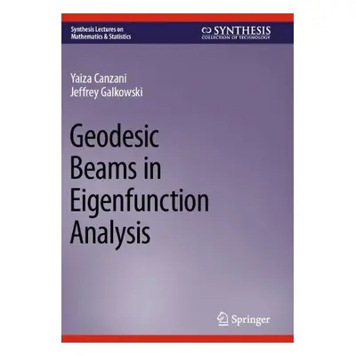 Geodesic Beams in Eigenfunction Analysis - Canzani, Yaiza a Galkowski, Jeffrey