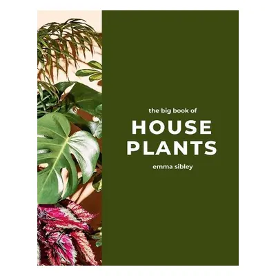 Big Book of House Plants - Sibley, Emma