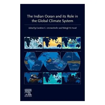 Indian Ocean and its Role in the Global Climate System