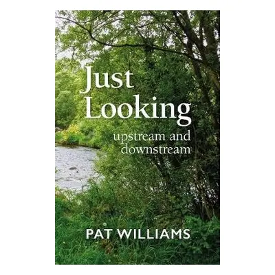 Just Looking - Williams, Pat