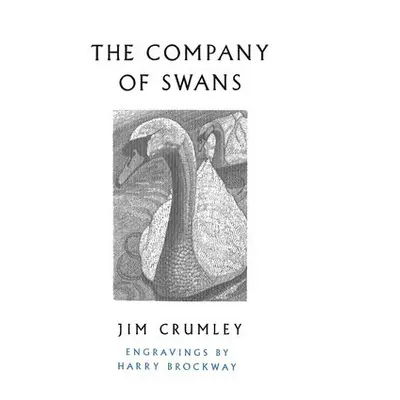 Company of Swans - Crumley, Jim