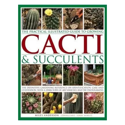 Practical Illustrated Guide to Growing Cacti a Succulents - Anderson, Miles