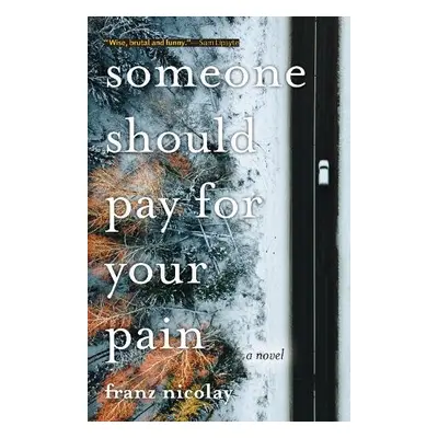 Someone Should Pay for Your Pain - Nicolay, Franz