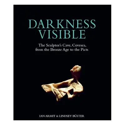 Darkness Visible - Armit, Ian a Buster, Lindsey