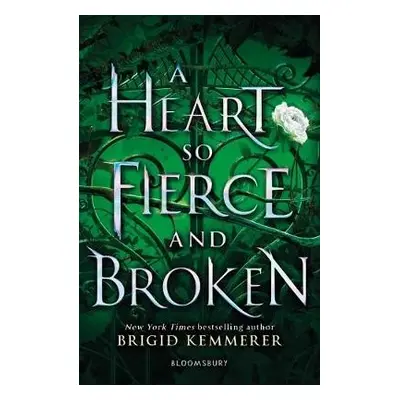 Heart So Fierce and Broken - Kemmerer, Brigid