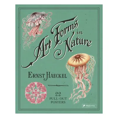 Ernst Haeckel: Art Forms in Nature: 22 Pull-Out Posters - Haeckel, ,Ernst