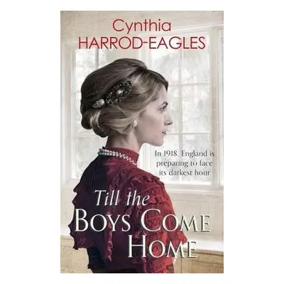 Till the Boys Come Home - Harrod-Eagles, Cynthia