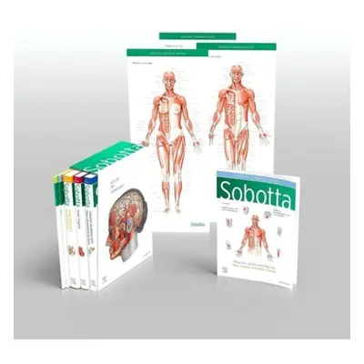 Sobotta Atlas of Anatomy, Package, 17th ed., English/Latin - Paulsen, Friedrich a Waschke, Jens