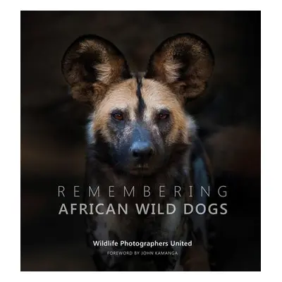 Remembering African Wild Dogs