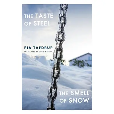 Taste of Steel * The Smell of Snow - Tafdrup, Pia