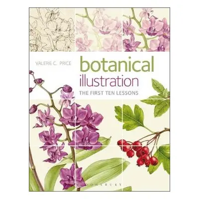 Botanical Illustration - Price, Valerie